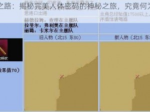 大航海之路：揭秘完美人体密码的神秘之旅，究竟何为终极密码？