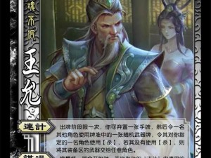 战三国智勇较量：八阵奇谋中群雄武将深度简析