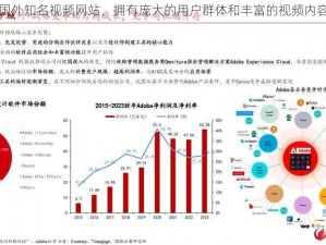 国外知名视频网站，拥有庞大的用户群体和丰富的视频内容