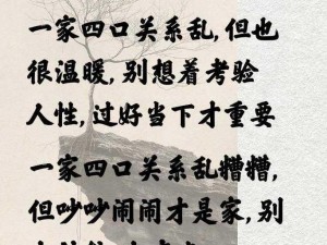 混乱一家子，关系大揭秘——混乱关系中的情感稳定器推荐