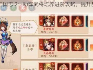 少年三国志 2：助阵武将培养进阶攻略，提升战力的关键