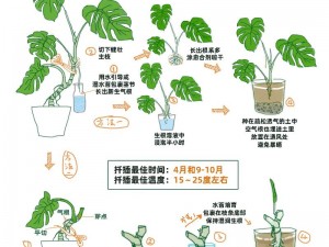 在床上的72种扦插方法_床上的 72 种扦插方法，让你的植物茁壮成长