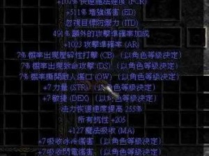 暗黑血统 2 执政官 bug 解决方案大揭秘