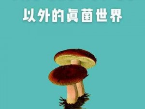 新手攻略：探索真菌世界，如何成为真菌世界的探险家