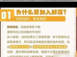 超进化物语新手攻略：入门到精通的玩法指南