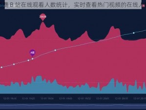 免费 B 站在线观看人数统计，实时查看热门视频的在线人数