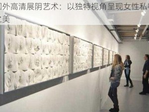 国外高清展阴艺术：以独特视角呈现女性私密之美