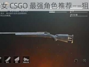 暴躁少女 CSGO 最强角色推荐——狙击枪篇