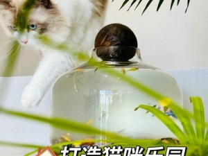 猫咪厨房大改造：汤设施升级顺序指南，从基础到高级的全面推荐