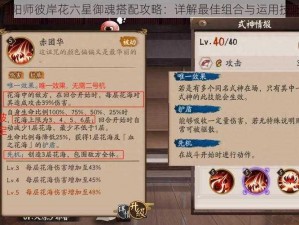 阴阳师彼岸花六星御魂搭配攻略：详解最佳组合与运用技巧