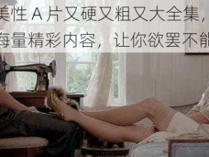 欧美性 A 片又硬又粗又大全集，包含海量精彩内容，让你欲罢不能