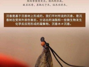 沉香一线产区的情侣们，你们知道沉香是如何形成的吗？