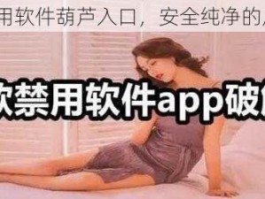 18 款禁用软件葫芦入口，安全纯净的应用平台