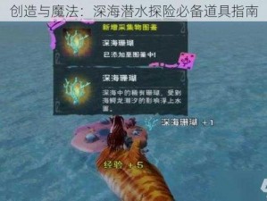 创造与魔法：深海潜水探险必备道具指南