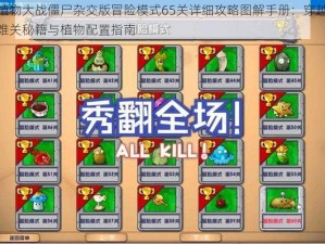 植物大战僵尸杂交版冒险模式65关详细攻略图解手册：穿越难关秘籍与植物配置指南