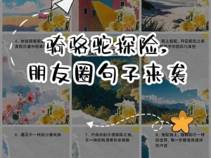 旅游途中夫妻换着玩，感受别样乐趣，这款产品你值得拥有