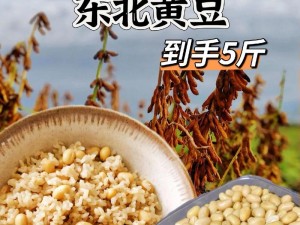 19 岁 RAPPER 潮水大豆行情：营养丰富的优质大豆，富含蛋白质和膳食纤维