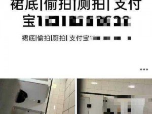 中国偷窥 WC 女厕 39 全新升级，隐藏式设计，安全无干扰，畅享私密空间