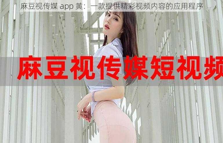 麻豆视传媒 app 黄：一款提供精彩视频内容的应用程序