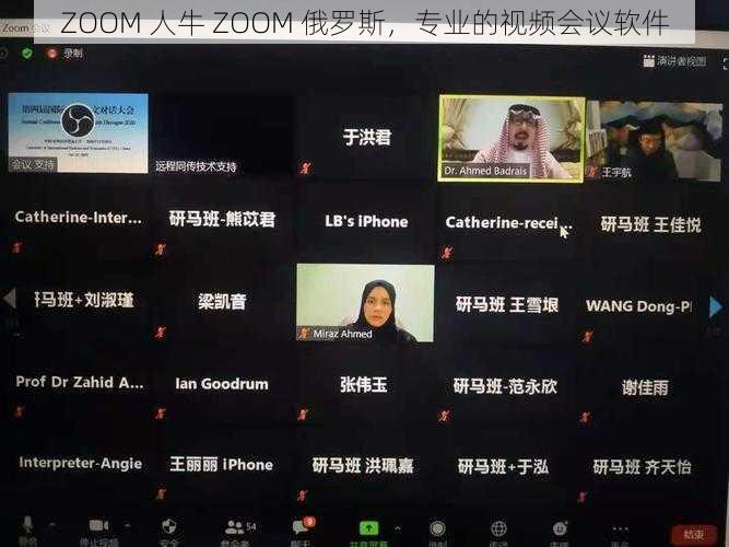 ZOOM 人牛 ZOOM 俄罗斯，专业的视频会议软件