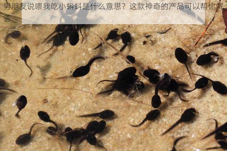 男朋友说喂我吃小蝌蚪是什么意思？这款神奇的产品可以帮你解答