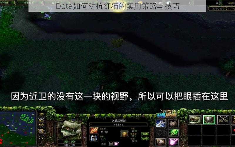 Dota如何对抗红猫的实用策略与技巧