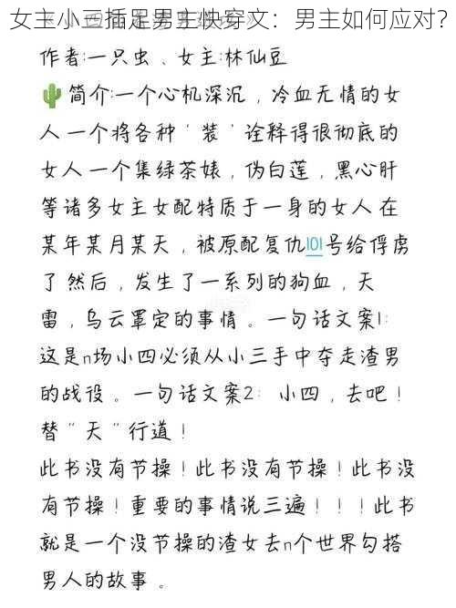 女主小三插足男主快穿文：男主如何应对？