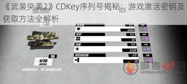 《武装突袭2》CDKey序列号揭秘：游戏激活密钥及获取方法全解析