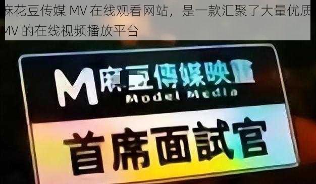 麻花豆传媒 MV 在线观看网站，是一款汇聚了大量优质 MV 的在线视频播放平台