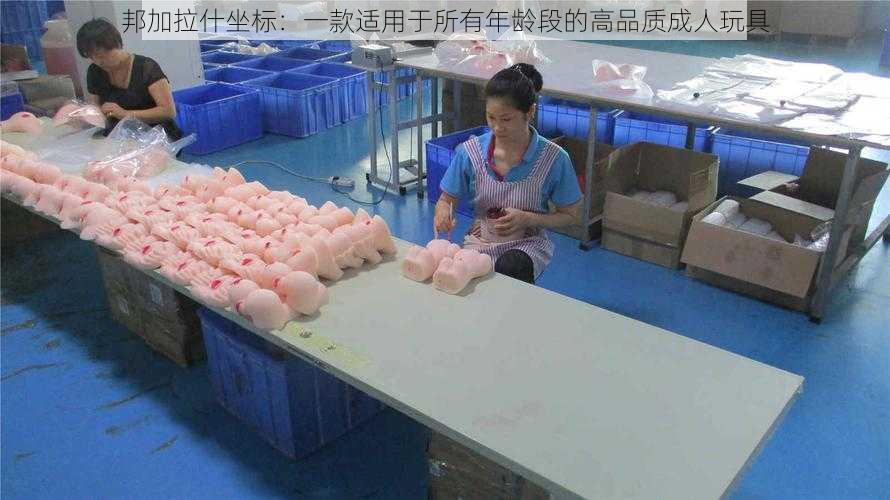 邦加拉什坐标：一款适用于所有年龄段的高品质成人玩具