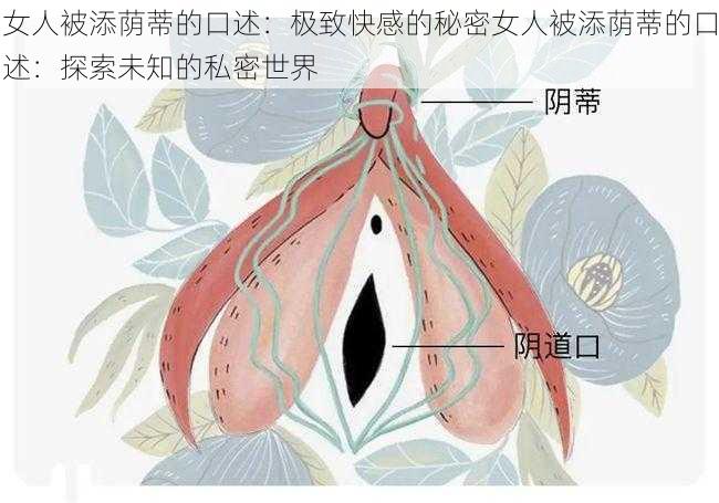 女人被添荫蒂的口述：极致快感的秘密女人被添荫蒂的口述：探索未知的私密世界