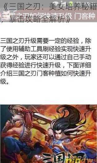 《三国之刃：美女培养秘籍，暴击攻略全解析》