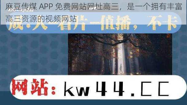 麻豆传煤 APP 免费网站网址高三，是一个拥有丰富高三资源的视频网站