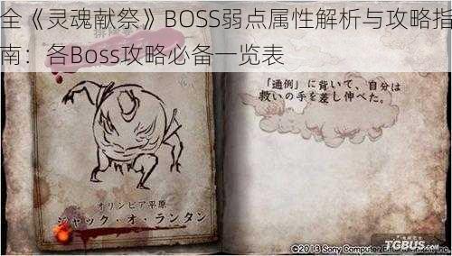 全《灵魂献祭》BOSS弱点属性解析与攻略指南：各Boss攻略必备一览表