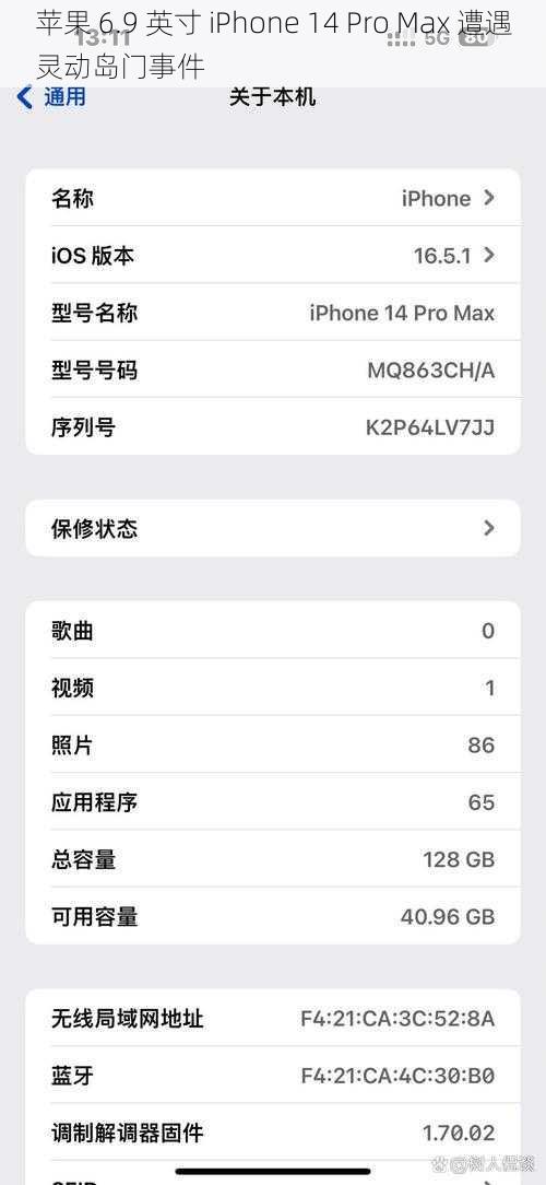 苹果 6.9 英寸 iPhone 14 Pro Max 遭遇灵动岛门事件