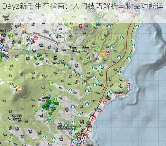 Dayz新手生存指南：入门技巧解析与物品功能详解