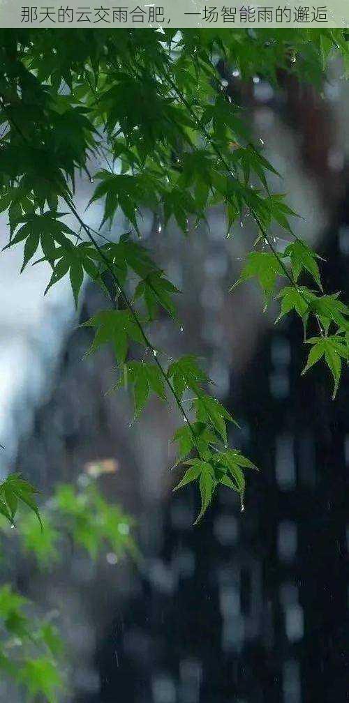 那天的云交雨合肥，一场智能雨的邂逅