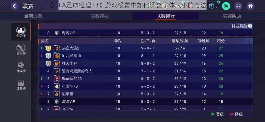 《FIFA足球经理13》游戏设置中如何调整字体大小的方法详解