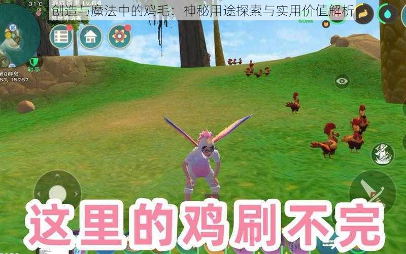 创造与魔法中的鸡毛：神秘用途探索与实用价值解析