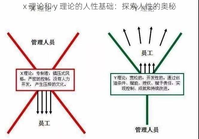 x 理论和 y 理论的人性基础：探索人性的奥秘