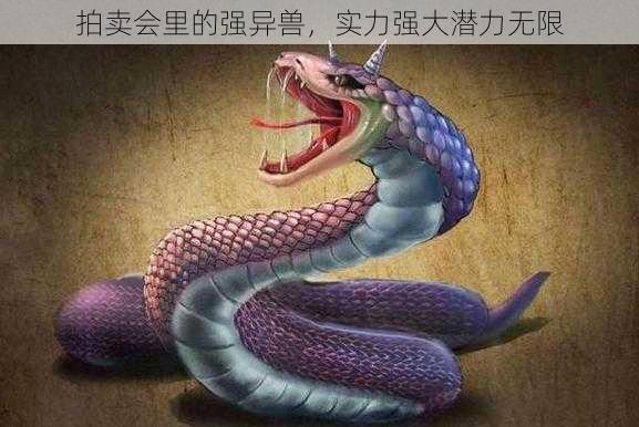 拍卖会里的强异兽，实力强大潜力无限