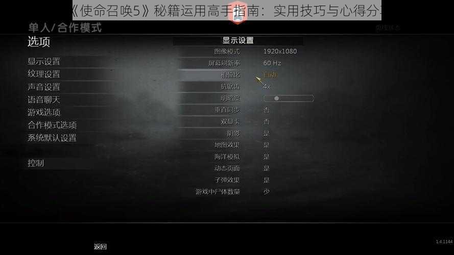 《使命召唤5》秘籍运用高手指南：实用技巧与心得分享