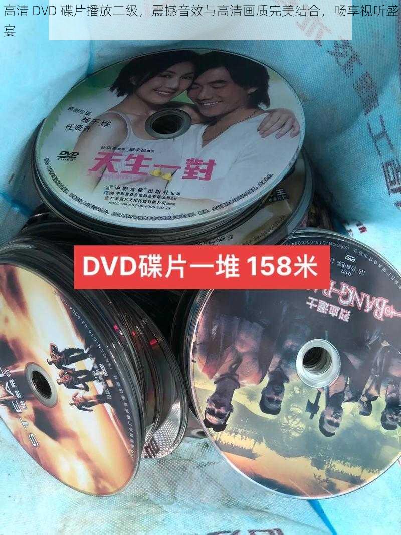 高清 DVD 碟片播放二级，震撼音效与高清画质完美结合，畅享视听盛宴