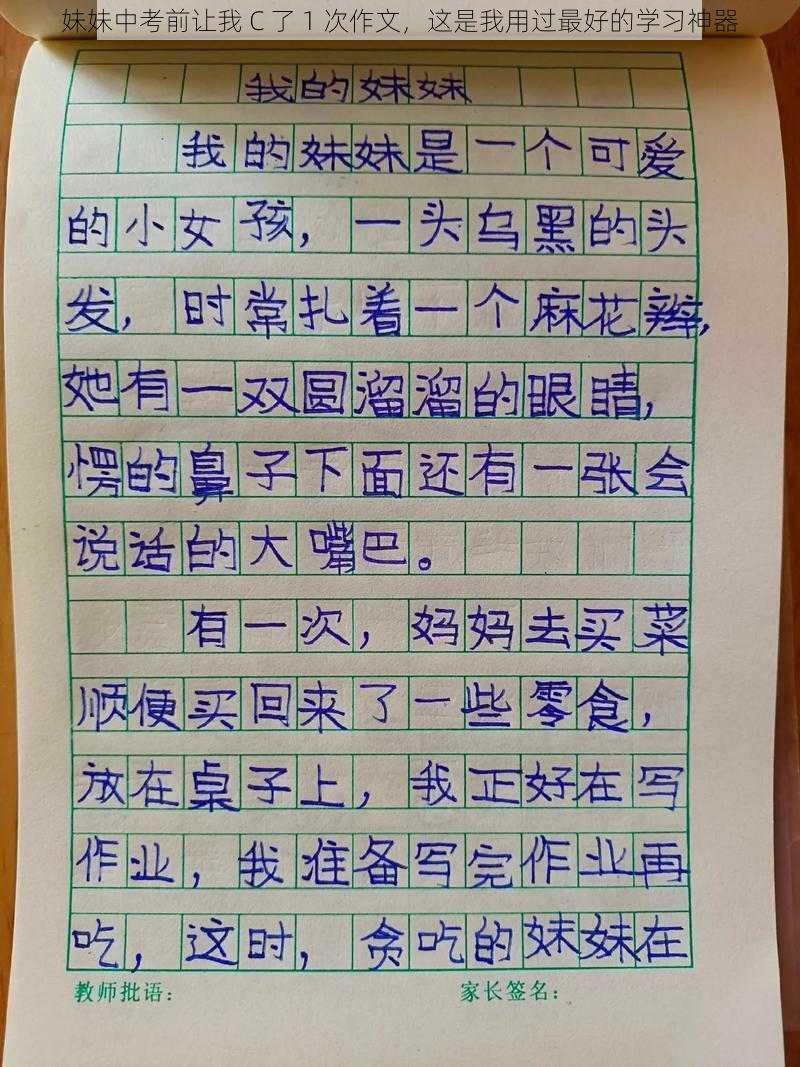 妹妹中考前让我 C 了 1 次作文，这是我用过最好的学习神器