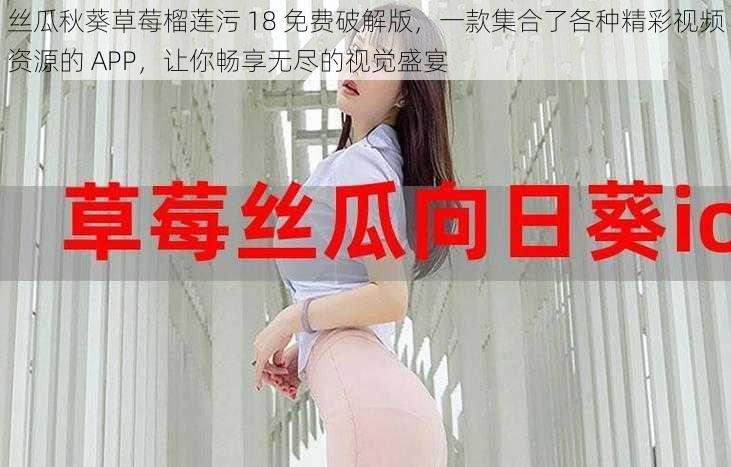 丝瓜秋葵草莓榴莲污 18 免费破解版，一款集合了各种精彩视频资源的 APP，让你畅享无尽的视觉盛宴