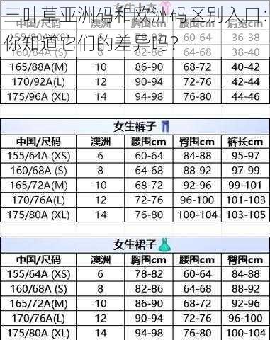 三叶草亚洲码和欧洲码区别入口：你知道它们的差异吗？