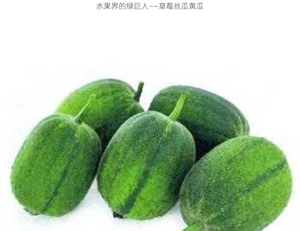 水果界的绿巨人——草莓丝瓜黄瓜