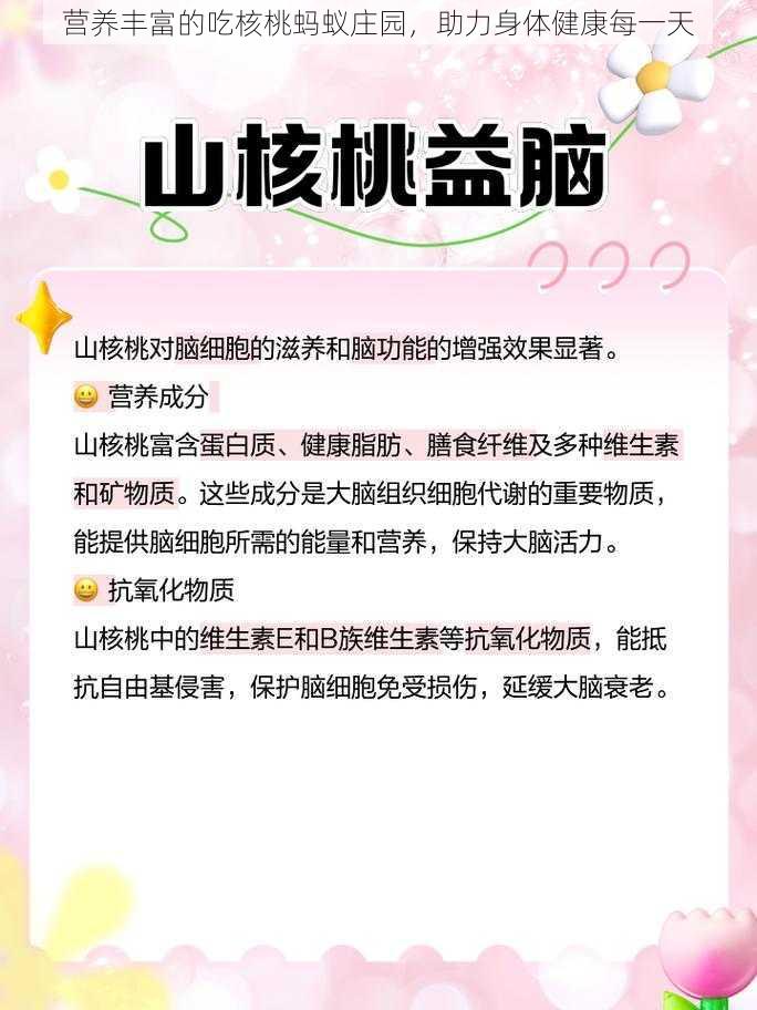 营养丰富的吃核桃蚂蚁庄园，助力身体健康每一天