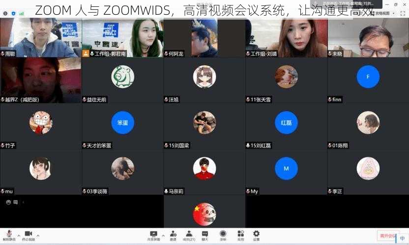 ZOOM 人与 ZOOMWIDS，高清视频会议系统，让沟通更高效