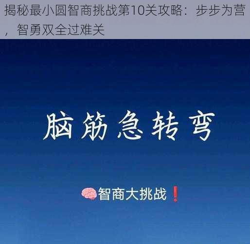 揭秘最小圆智商挑战第10关攻略：步步为营，智勇双全过难关